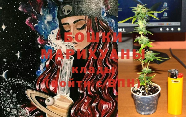 прущая мука Инта
