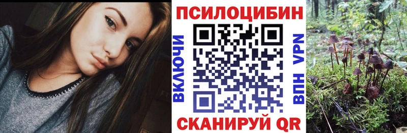 Галлюциногенные грибы Cubensis  Себеж 